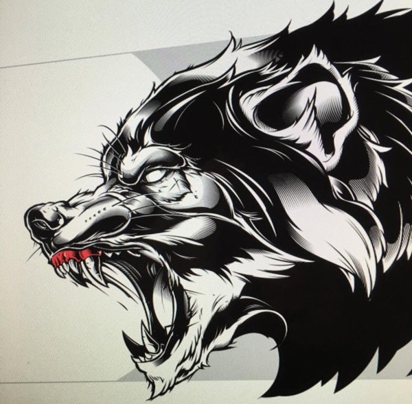 Оскал волка эскиз
