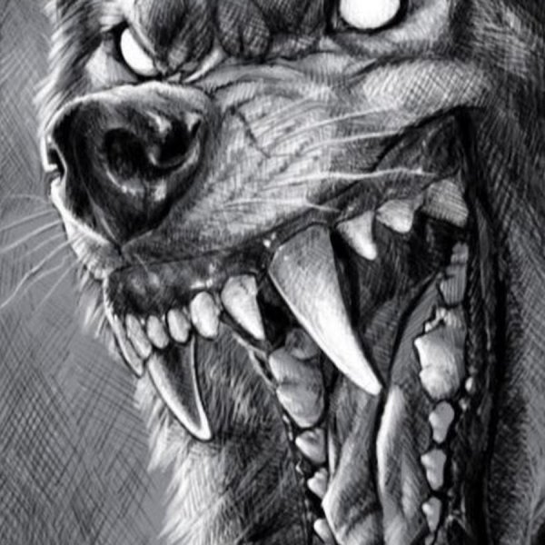 Тату пара Волков