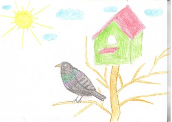 Перелетные птицы Башкирии