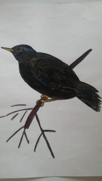 Василий Белов скворцы скворечник