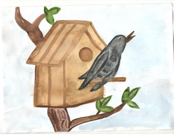 Перелетные птицы Башкирии