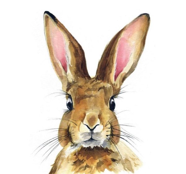 Акварельный кролик
