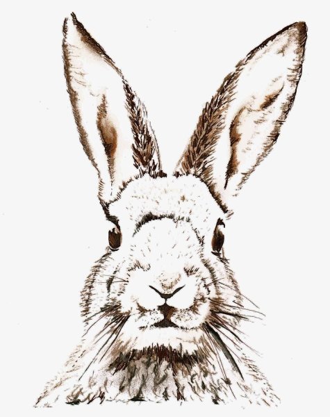 Кролик черно белый