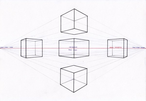 Угловая перспектива Куба снизу