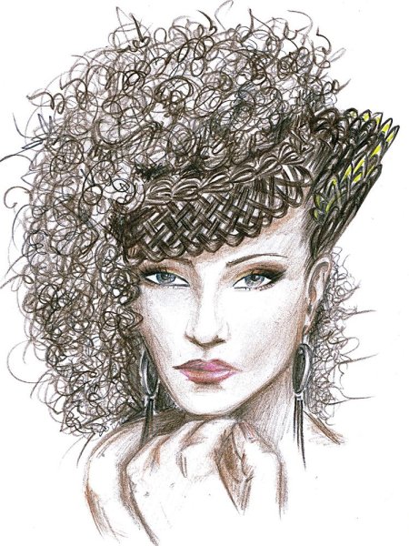 Прическа с птичьей клеткой