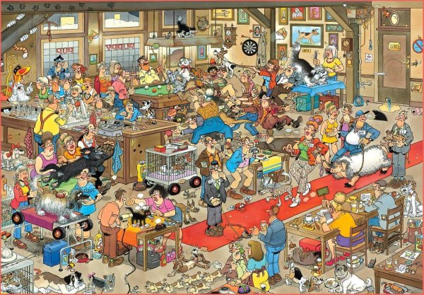 Пазл Jumbo Ян Ван Хаастерен