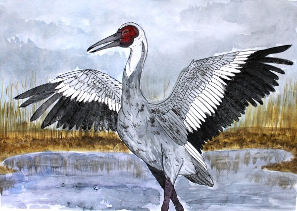 Журавль для детей