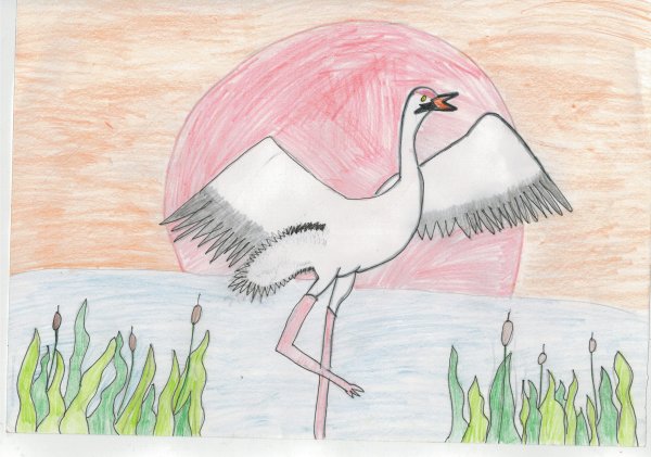 Журавли для рисования