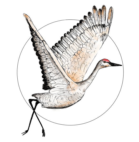 Журавля в полете для детей