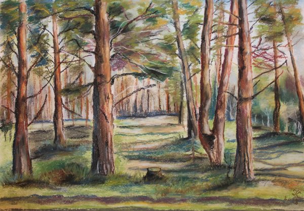 Пейзаж живопись Бузулукский Бор