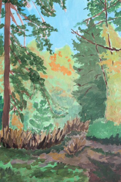 Бузулукский Бор рисунок