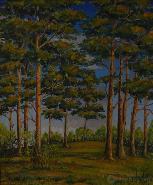 Егорнов Сосновый Бор