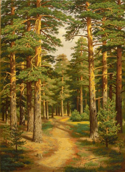 Шишкин Сосновый Бор картина