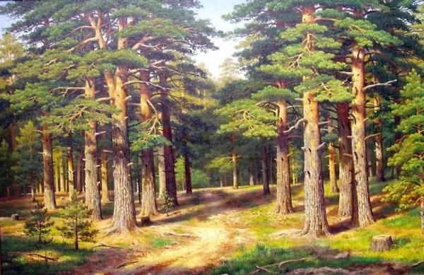 Художник Владимир Иродионович Бебия