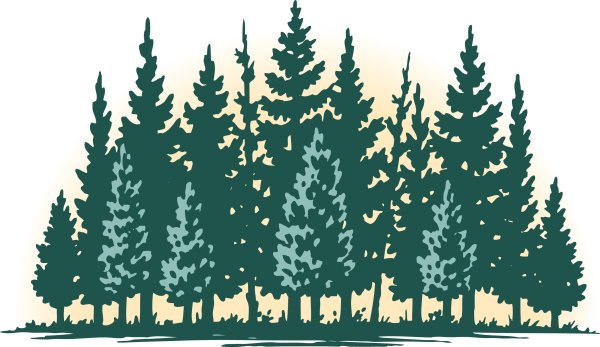 Алексей Епишин художник картины