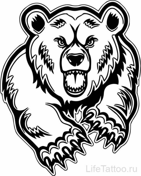 Медведь вектор