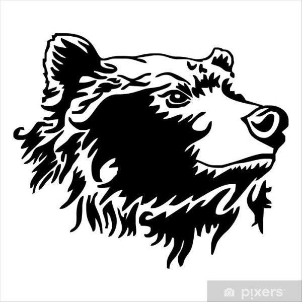 Силуэт медведя