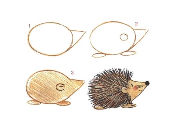 Как нарисовать ежика