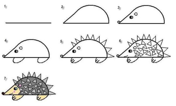 Поэтапное рисование ежика