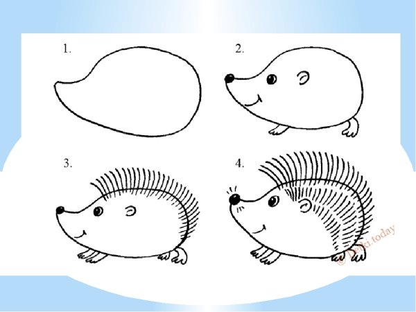 Рисование ежика поэтапно