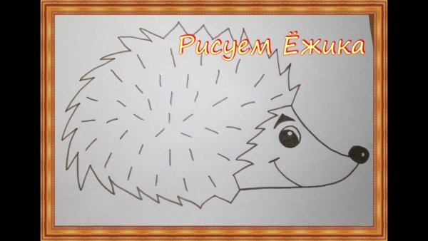 Схема рисования ежика для детей