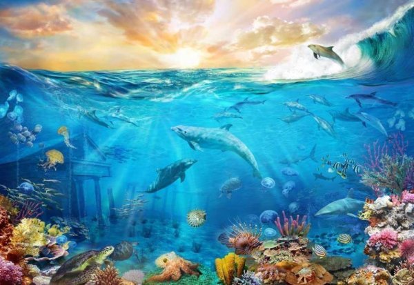 Фотообои морские обитатели