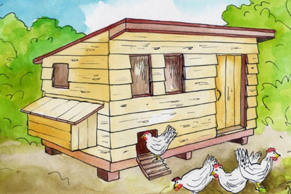 Курятник в детском саду