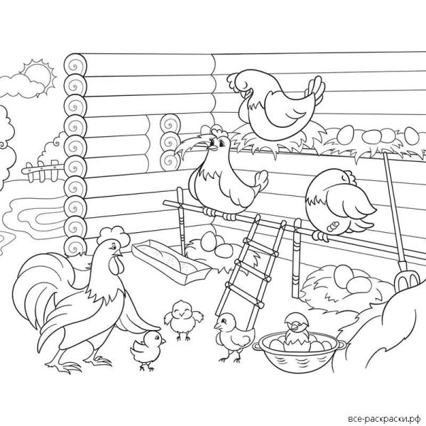 Курятник раскраска для детей