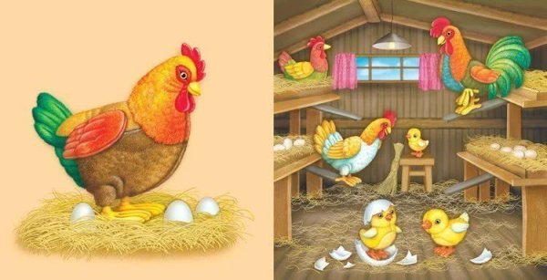 Курочки на ферме