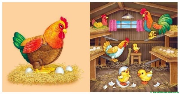 Курятник для детей