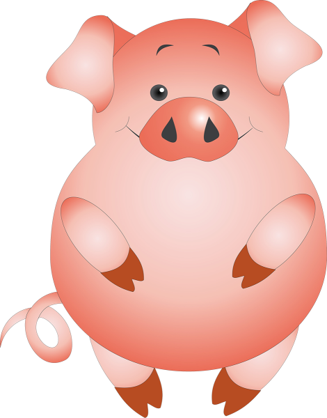 Свинья для детей