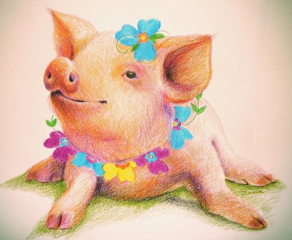 Поросенок иллюстрация