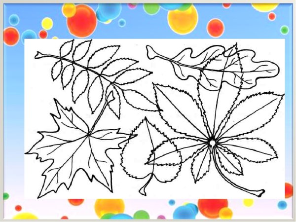 Задания с осенними листиками