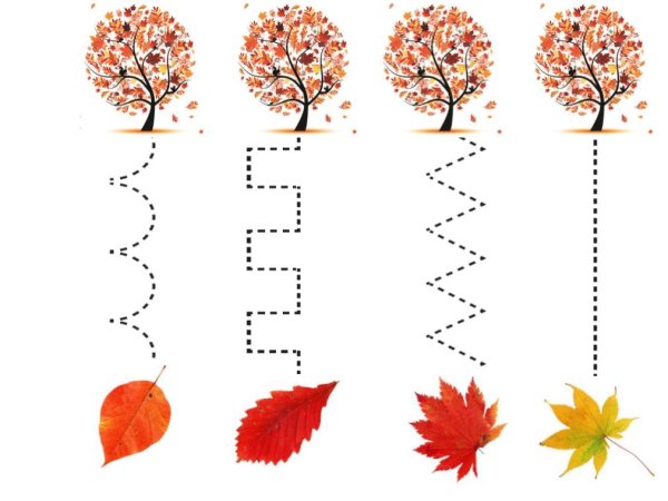 Осенние задания для дошкольников