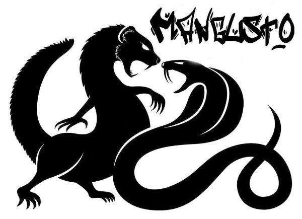 Силуэт мангуста