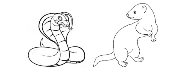 Мангуст Рикки Тикки Тави