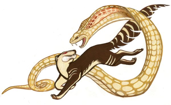 Рики Тики Тави наг и Нагайна