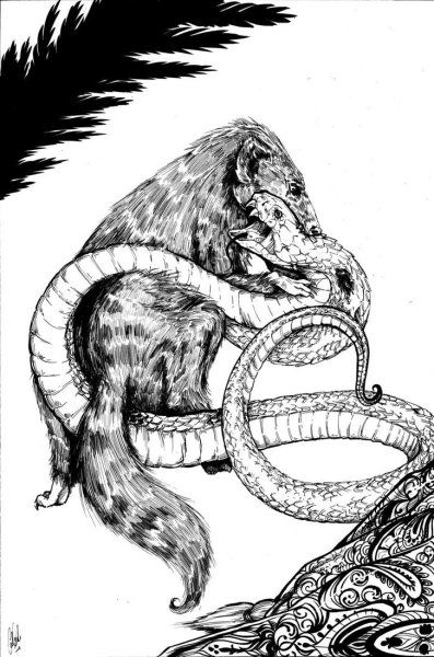 Рикки Тикки Мангуст тату