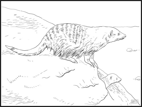 Раскраска амонгаст для детей