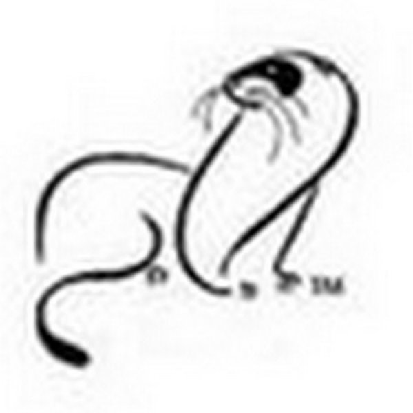 Хорек стилизация