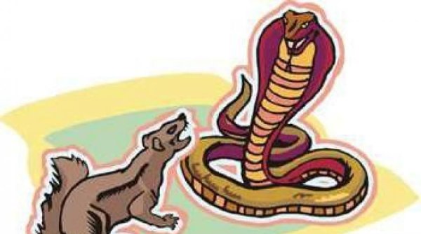 Нагайна змея Рикки Тикки