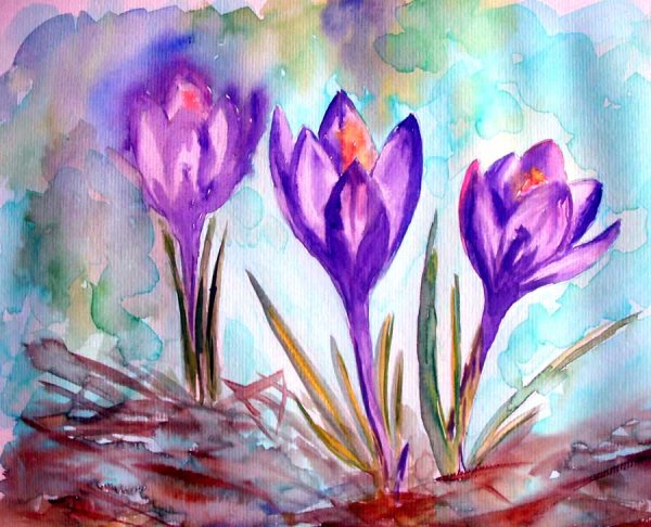 Крокусы акварелью