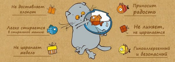 Паспорт кота Басика