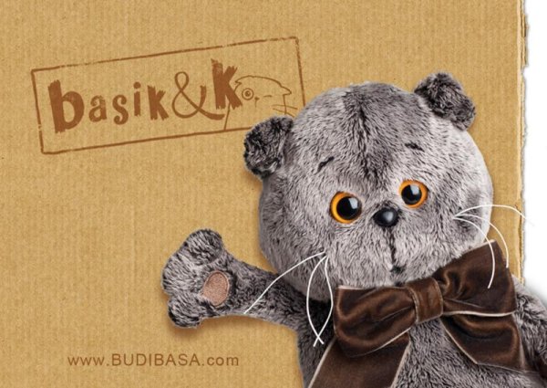 Логотип Басика