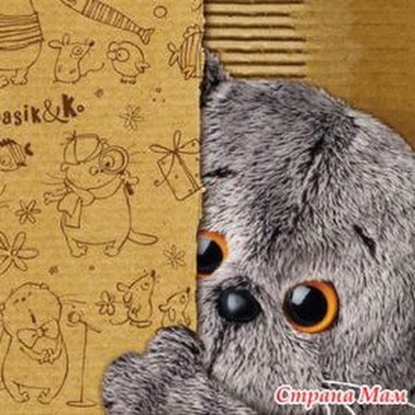 Кот Басик рисунки