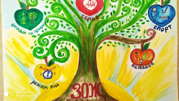 Здоровый образ жизни Ри