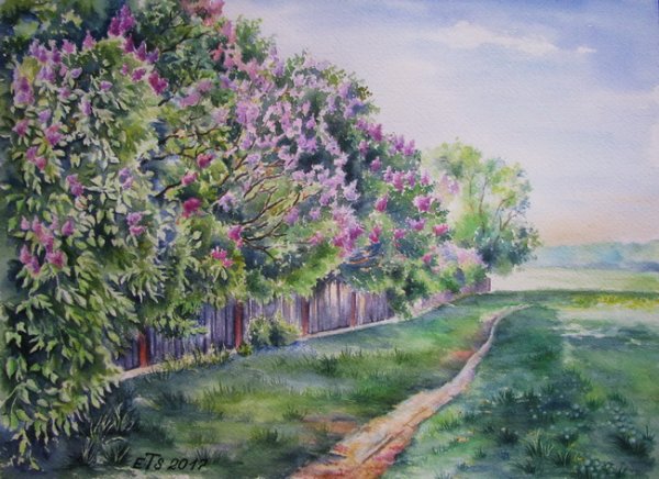 Сирень в саду акварель