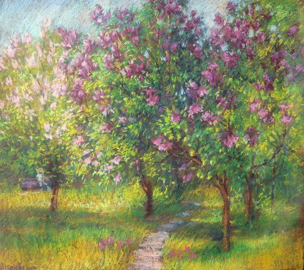 Жуковский Весна кусты сирени