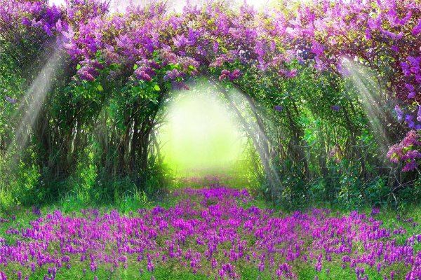 Волшебная природа