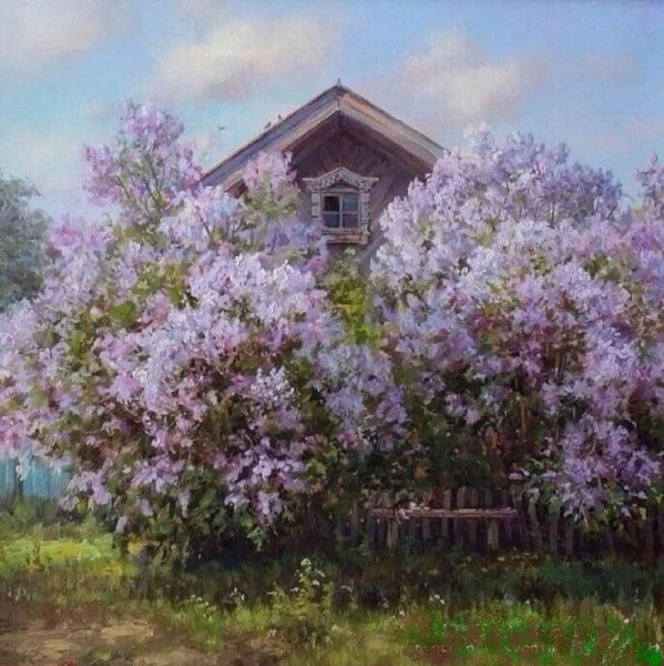 Кириак Костанди Цветущая сирень